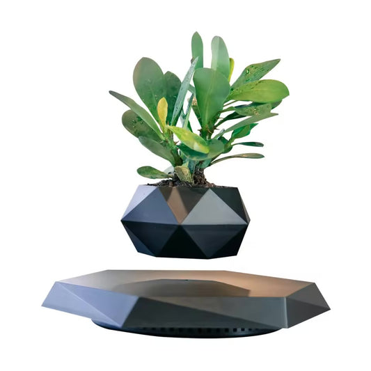 Pot flottant de bonsaï d'air pour la décoration intérieure, pot de plantes