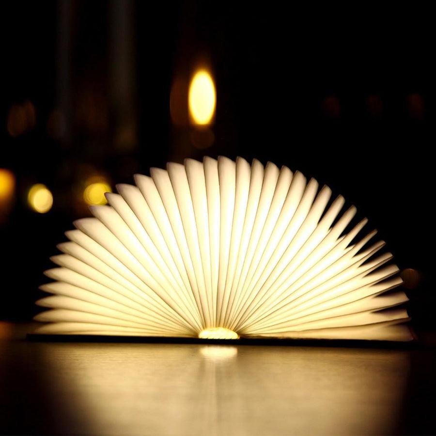 Lampe livre - bois marron clair / beige - 3 nuances de lumière blanche réglables (blanc brillant, blanc chaud et blanc jaune) - éclairage LED - grand - version premium avec papier Tyvek dupont - cadeau d'affaires - livre lumineux - lampe de lecture